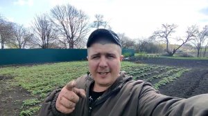 Посев горчицы под мотоблок Ока. Огородный сезон 2022