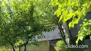 Дача в крымском лесу. Кизиловое Симферопольский р-н. ПРОДАЖА.