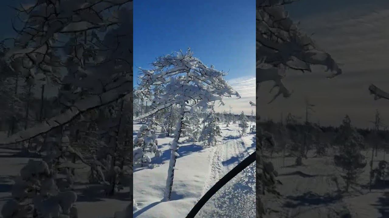 весенняя солнечная дорога, покатушки на снегоходе #snow #adventuretourism #nature #adventuretravel смотреть онлайн