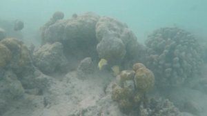 Veligandu Island Resort and Spa, Maldives. Kat and Paul's 2017 Honeymoon.