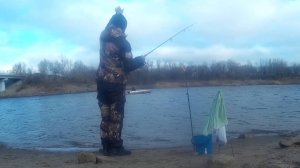 Лов плотвы на Ахтубе убывающая луна и юго-восточный ветер девять пятнадцать метров в секунду.