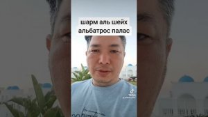 шарм-эль-шейх альбатрос палас 05.02.2024