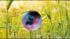 Ear Wax Removal Eps#  74|| чистка ушной серы # 74