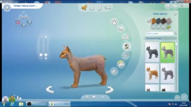 ПРЕЛЕСТЬ ГЕНЕТИКИ|НОВАЯ РУБРИКА|SIMS4 КОШКИ И СОБАКИ