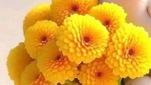 Открытки с хорошим добрым днем - Доброго Дня