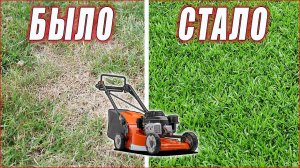 КАК СДЕЛАТЬ ГАЗОН ЗЕЛЕНЫМ. ВЕРТИКУТТЕР. УХОД ЗА ГАЗОНОМ.