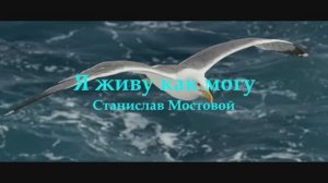 Я живу как могу