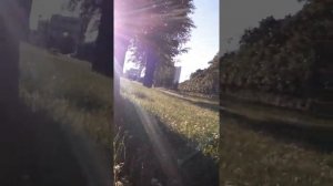 Реакция на других собак 16 июНя 21