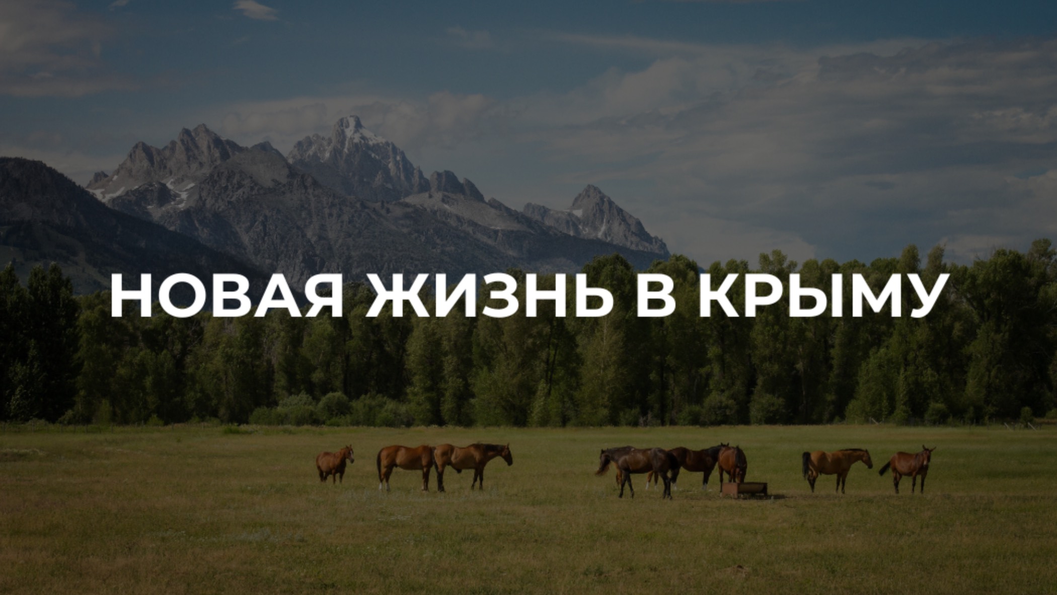 Новая локация для жизни в Крыму. Перевальное.