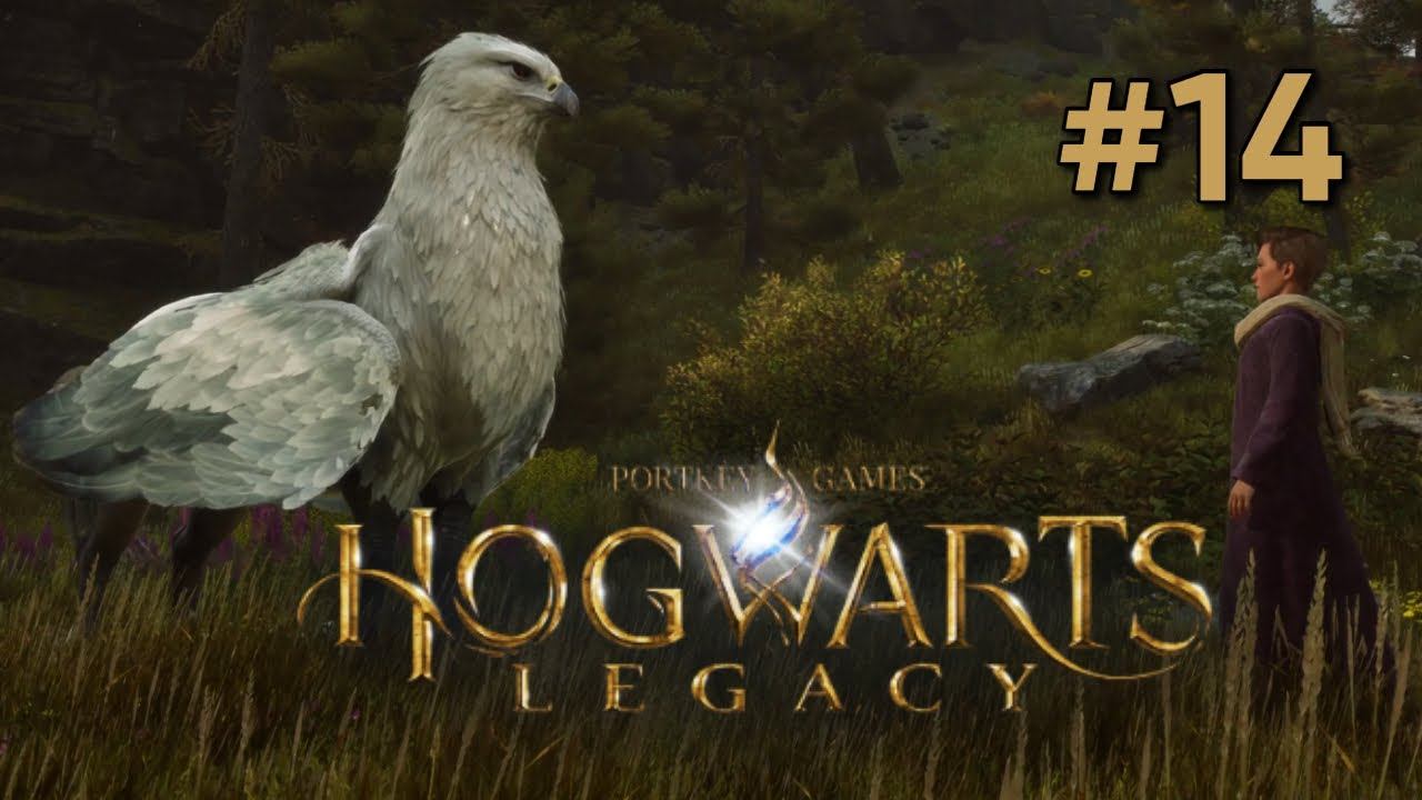 Hogwarts Legacy • ГИППОГРИФ И ДРУГИЕ ТВАРИ ▶