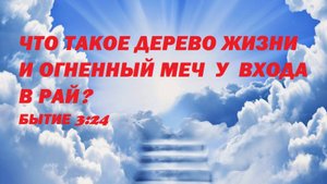 ЧТО ТАКОЕ ДЕРЕВО ЖИЗНИ И ОГНЕННЫЙ МЕЧ У ВХОДА В РАЙ В ОТКРОВЕНИИ В БИБЛИИ.