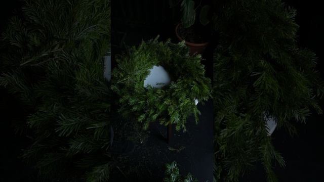 Создаем рождественский венок на вход!