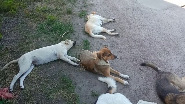 С мамой все впорядке!!!Семья отдыхает!!!