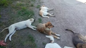 С мамой все впорядке!!!Семья отдыхает!!!