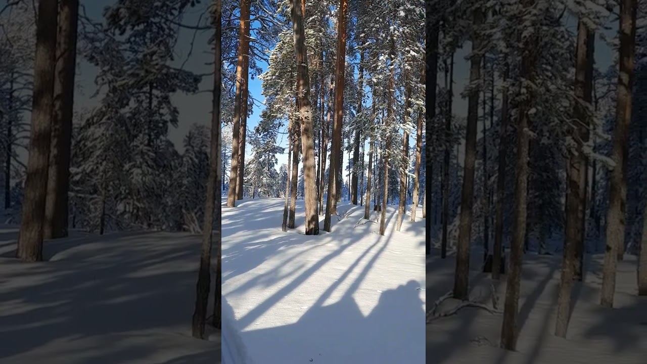 конец зимы #snow #adventuretourism #nature #adventuretravel #winter #travel #skiing #fishing смотреть онлайн