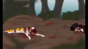 Яролика и Быстролап - Коты Воители