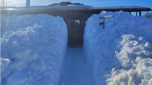 Укрытие  роз на зиму, эффективно или нет? Создаю цветник. Немного о себе и своих планах.