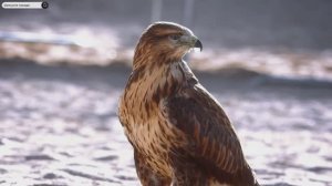 #Islam#Quran#AnNur#ٌMinshawiy#Коран#АнНур#СамыеКрасивыеМеста#Relaxation#4кВиде#3часть#