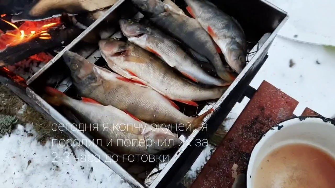 Копчу на даче окуней и жарю ребра на углях смотреть онлайн