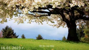 580.2. Защита уверенность16.01.2023 г