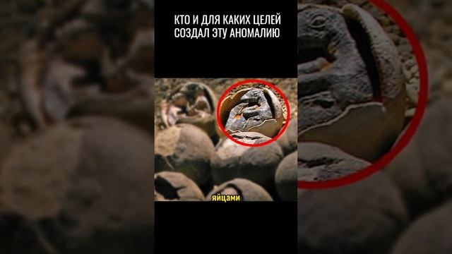Из древних скал появляются необычные "яйца"