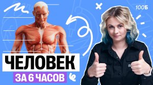 Человек за 6 часов | ЕГЭ по биологии 2025 | Ксения Напольская