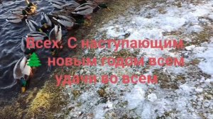 С Наступающим 🌲 всем щастья 🎅 здоровья