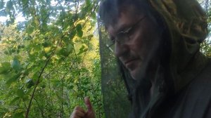 2023 год Август. Большой Кумикуш. 22