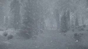 Skyrim Music & Ambience _ Walking Across Skyrim - Morthal To Heljarchen _ Ambient Music