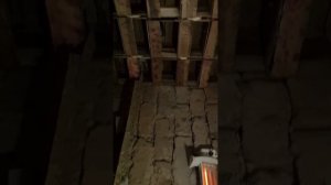 душанбенски голуби