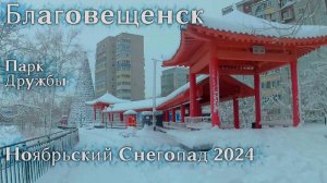 Благовещенск парк Дружбы Снегопад 27 ноября 2024
