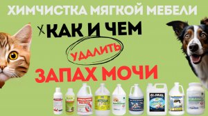 Как и чем удалить запах мочи с дивана или матраса? 
Химчистка мебели для профессионалов