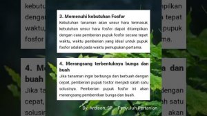 FUNGSI  DAN MANFAAT PUPUK FOSFOR/POSFAT(P2O5) BAGI TANAMAN