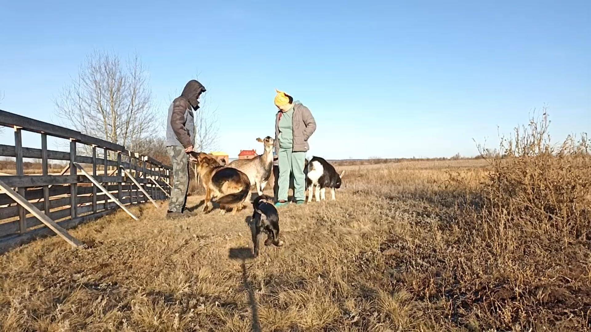 Наслаждаемся солнечным деньком уходящей осени//ручки на кухню/занимаюсь машиной//