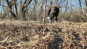 ПЕРВЫЕ ВПЕЧАТЛЕНИЯ Stihl 180 Одно слово - КАЙФ!