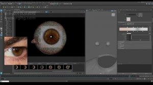 11.Look-Dev - The Eyes