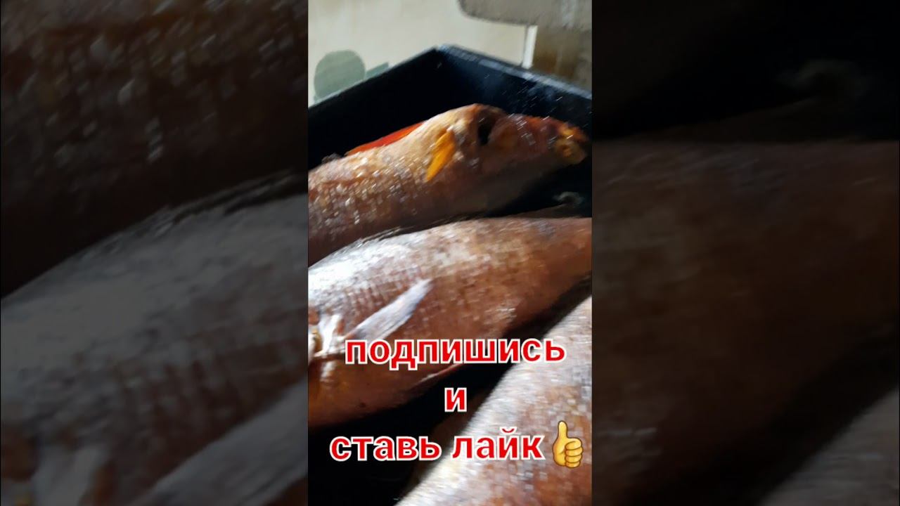 Коптильня по фэн шую. Коптим окуня смотреть онлайн