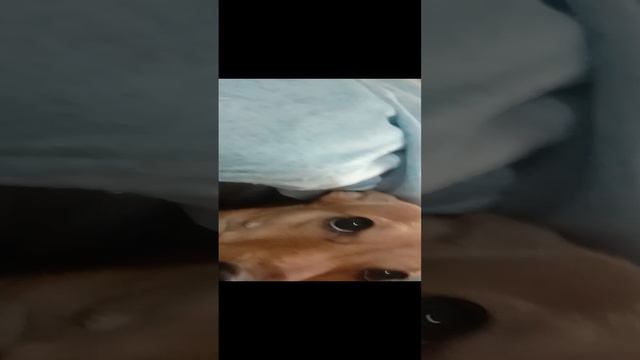 приветик моя любимый потписик смотреть онлайн