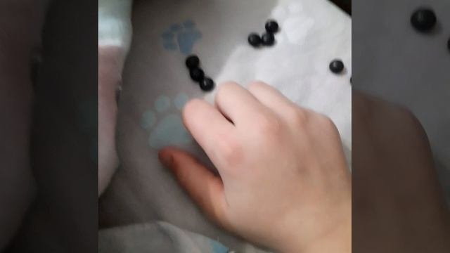 конфеты