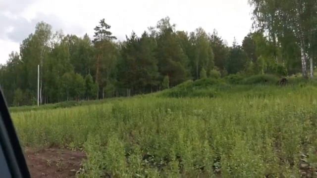 КФХ Валуево. Экскурсия по лесному питомнику