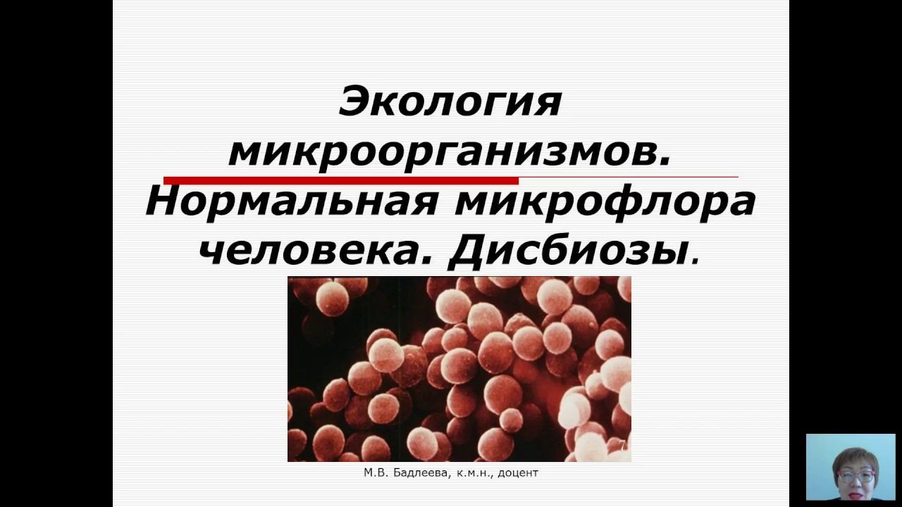 Общая микробиология (Бадлеева М.В.) - 5 лекция