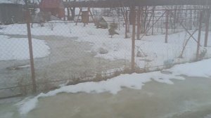 Весенний паводок 4 января