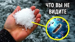 Факты о снеге, которые вас поразят. Самый холодный сезон в интересных деталях и подробностях