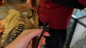 Новая поставка рептилий из Индонезии/Распаковка