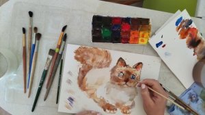 Видео урок№1 Этюд кота . Красками!