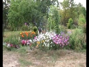 Цветочный ролик