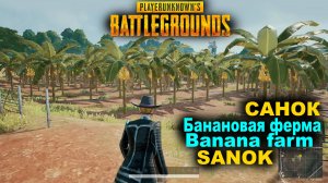 PUBG ✅ Банановая ферма на карте САНОК ✅ Как выглядит ? Где найти ?