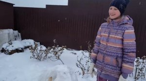 Собака очень смешно разрушает снежный ком!