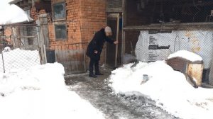Отстрел собак в Костанайском районе
