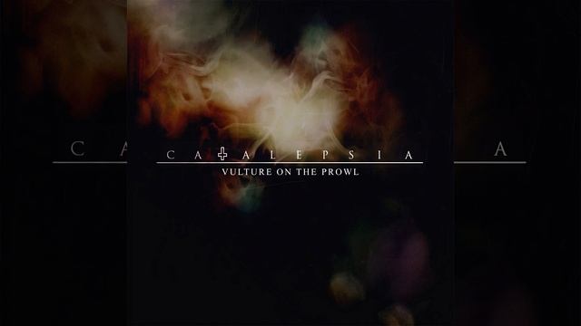 VULTURE ON THE PROWL - Cáncer